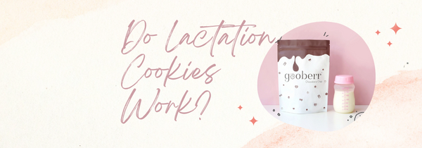 Do Lactation Cookies Work?